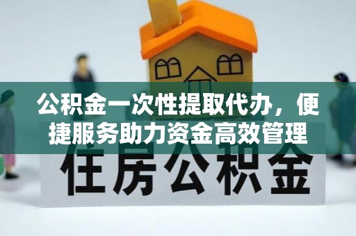 大武公积金一次性提取代办，便捷服务助力资金高效管理