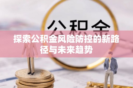 大武探索公积金风险防控的新路径与未来趋势