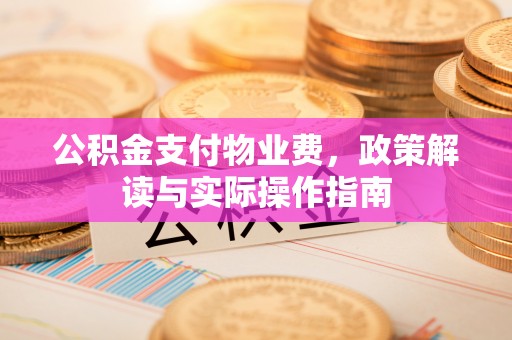 大武公积金支付物业费，政策解读与实际操作指南