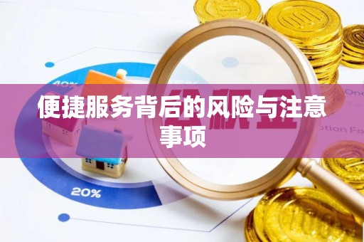 大武便捷服务背后的风险与注意事项