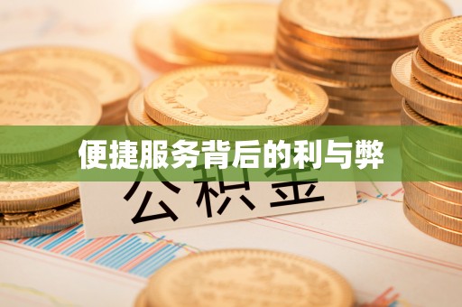 大武便捷服务背后的利与弊
